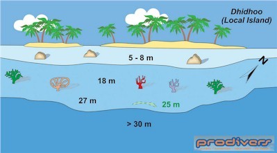 Sample dive chart of one of diving sites local to resort